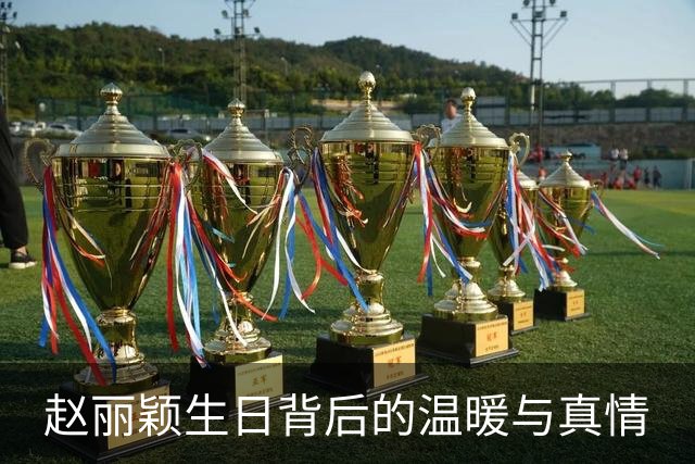 赵丽颖生日背后的温暖与真情