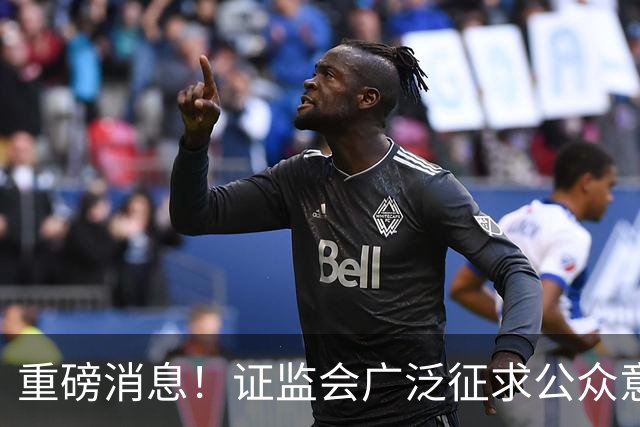 重磅消息！证监会广泛征求公众意见，散户改革建议引发热议